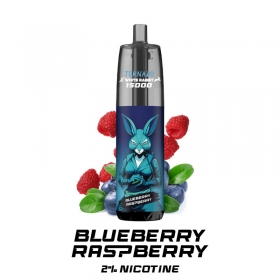 Puff Tornado 15000 Blueberry Raspberry 20mg - RandM & White Rabbit