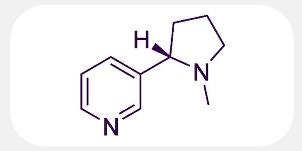 Illustration sur le rôle de la nicotine et le hit